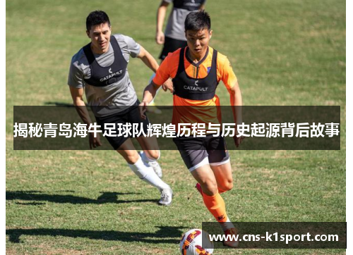 揭秘青岛海牛足球队辉煌历程与历史起源背后故事