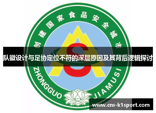 队徽设计与足协定位不符的深层原因及其背后逻辑探讨