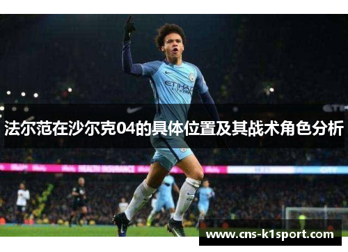 法尔范在沙尔克04的具体位置及其战术角色分析