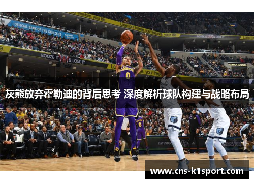 灰熊放弃霍勒迪的背后思考 深度解析球队构建与战略布局