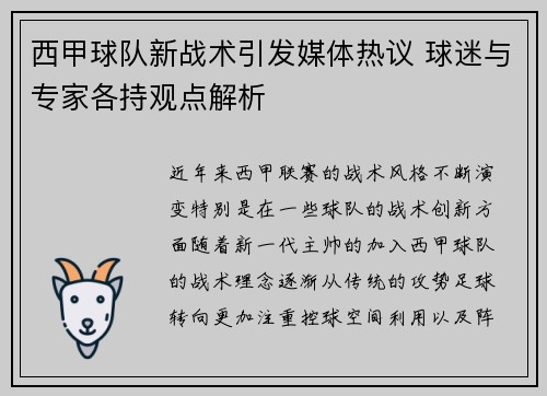 西甲球队新战术引发媒体热议 球迷与专家各持观点解析